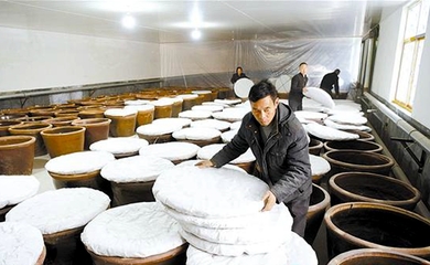 釀造食醋奔富路，食品銷售創輝煌——傳統技藝與現代市場的完美融合